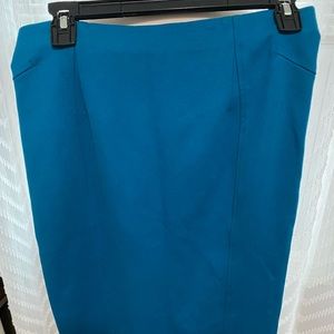 Teal Ann Taylor skirt